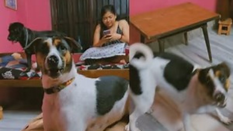 Die süßesten Tierbabys aller Zeiten: Ein Video, das dich dahinschmelzen lässt!